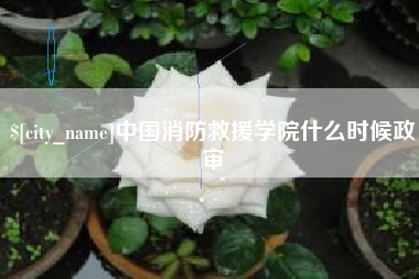 资阳中国消防救援学院什么时候政审