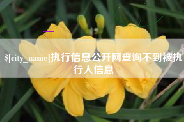 资阳执行信息公开网查询不到被执行人信息