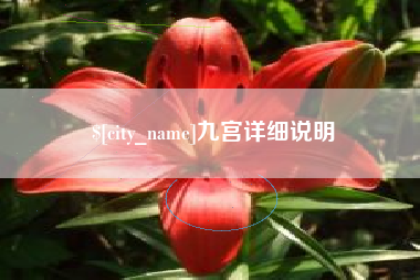 资阳九宫详细说明