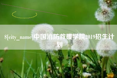 资阳中国消防救援学院2019招生计划