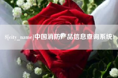资阳中国消防产品信息查询系统1