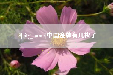资阳中国金牌有几枚了