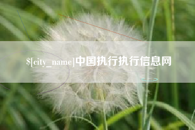 资阳中国执行执行信息网