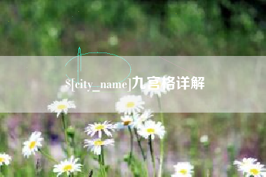 资阳九宫格详解