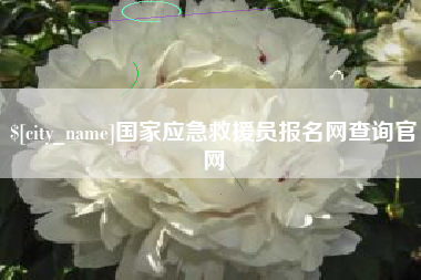 资阳国家应急救援员报名网查询官网