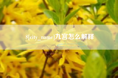 资阳九宫怎么解释