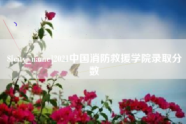 资阳2021中国消防救援学院录取分数