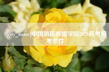 资阳中国消防救援学院2020高考报考条件