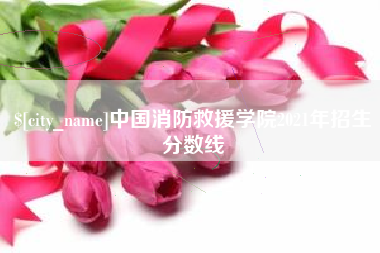 资阳中国消防救援学院2021年招生分数线