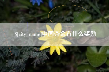 资阳中国夺金有什么奖励
