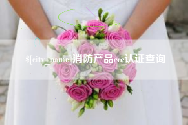 资阳消防产品ccc认证查询