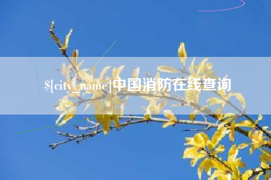 资阳中国消防在线查询