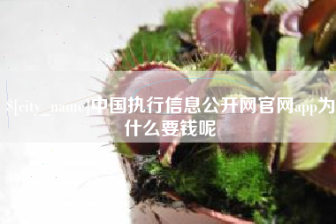 资阳中国执行信息公开网官网app为什么要钱呢