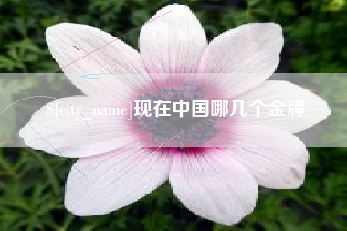资阳现在中国哪几个金牌