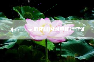 资阳消防证国网查询操作证