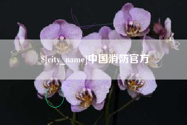 资阳中国消防官方
