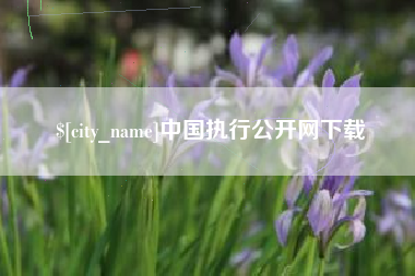 资阳中国执行公开网下载