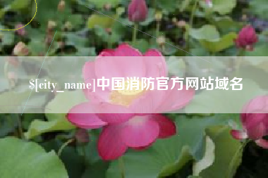 资阳中国消防官方网站域名