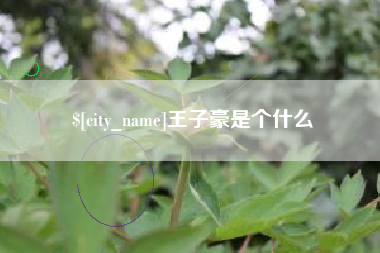 资阳王子豪是个什么