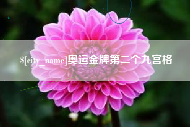 资阳奥运金牌第二个九宫格