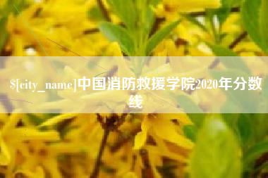 资阳中国消防救援学院2020年分数线