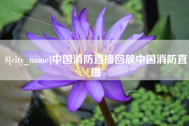 资阳中国消防直播回放中国消防直播