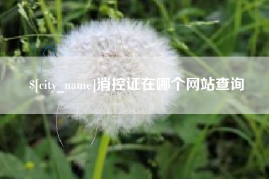 资阳消控证在哪个网站查询