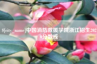 资阳中国消防救援学院浙江招生2020分数线