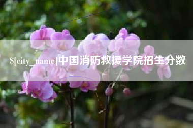 资阳中国消防救援学院招生分数