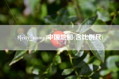 资阳中国地图(含比例尺)
