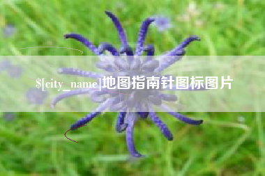 资阳地图指南针图标图片