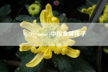 资阳中国金牌样子