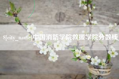 资阳中国消防学院救援学院分数线