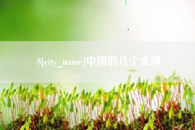 资阳中国的几个金牌