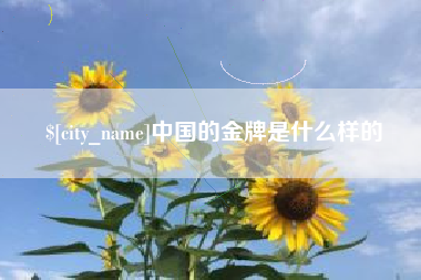 资阳中国的金牌是什么样的