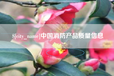 资阳中国消防产品质量信息