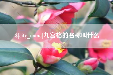 资阳九宫格的名称叫什么