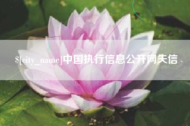 资阳中国执行信息公开网失信