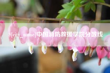 资阳中国消防救援学院分数线