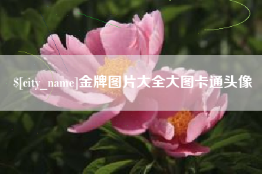 资阳金牌图片大全大图卡通头像