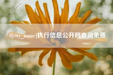 资阳执行信息公开网查询免费