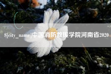 资阳中国消防救援学院河南省2020